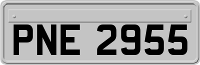 PNE2955