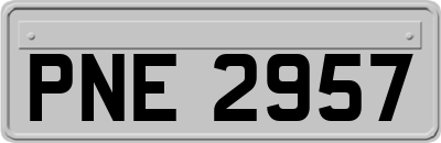 PNE2957