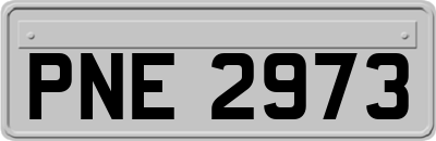 PNE2973