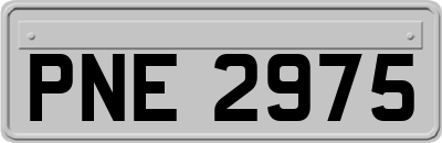 PNE2975