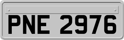 PNE2976