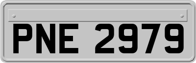 PNE2979