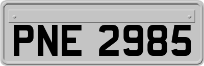 PNE2985