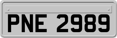 PNE2989