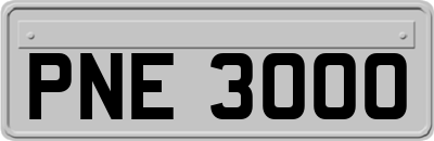 PNE3000