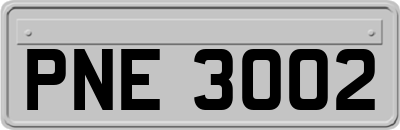PNE3002