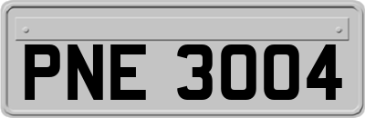 PNE3004