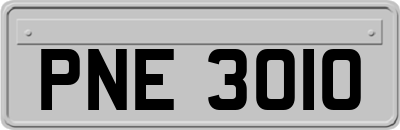 PNE3010