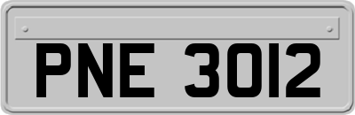 PNE3012
