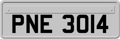 PNE3014