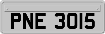 PNE3015