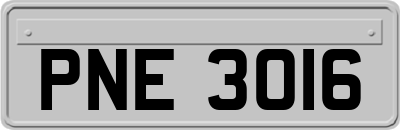 PNE3016