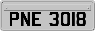 PNE3018