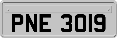 PNE3019