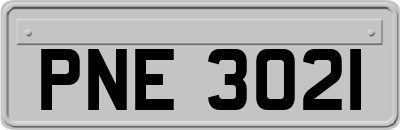 PNE3021