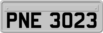 PNE3023
