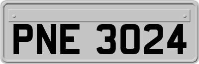 PNE3024