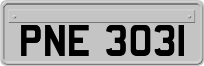 PNE3031