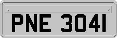 PNE3041