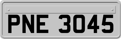 PNE3045
