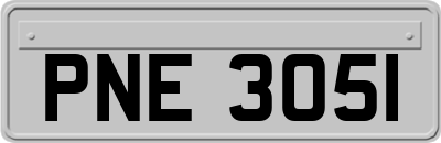 PNE3051