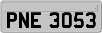 PNE3053