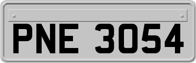 PNE3054
