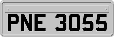 PNE3055