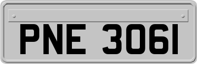 PNE3061