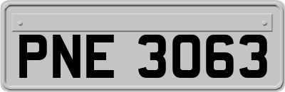 PNE3063