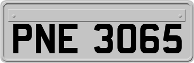 PNE3065
