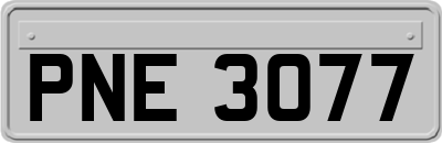 PNE3077