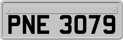 PNE3079