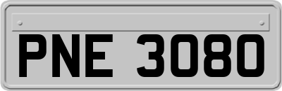 PNE3080
