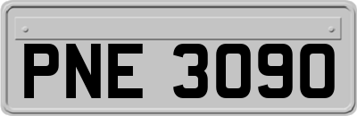 PNE3090