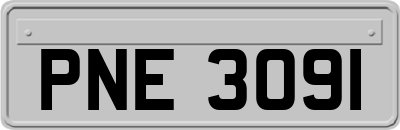PNE3091