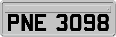 PNE3098