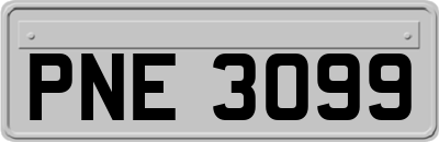 PNE3099