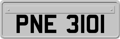 PNE3101