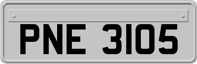 PNE3105