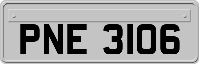 PNE3106