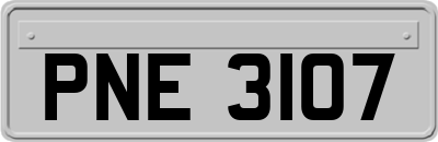 PNE3107