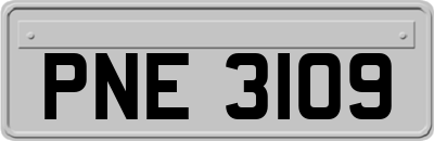 PNE3109