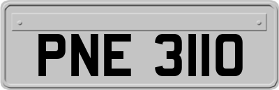 PNE3110