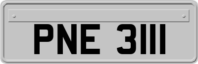 PNE3111