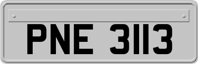 PNE3113