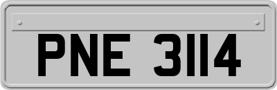 PNE3114
