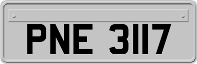 PNE3117