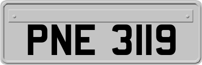 PNE3119