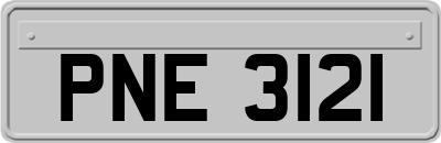 PNE3121